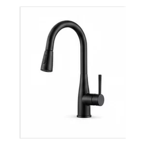 Matte Black Pull-Down Kitchen Faucet product image