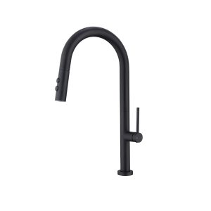 Matte Black Slim Single-Handle Pull-Down Kitchen Faucet — TWG-KF-016